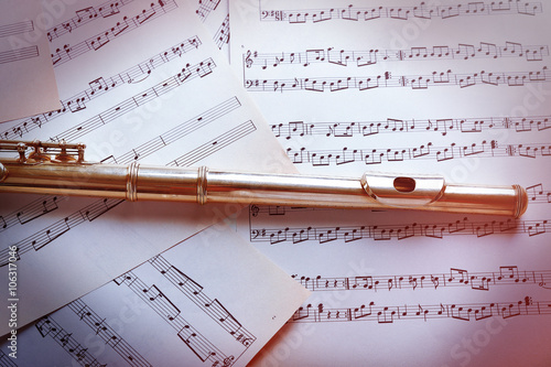 Flute on musical notes back...