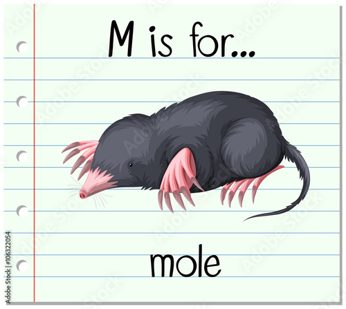 Flashcard letter M is for mole