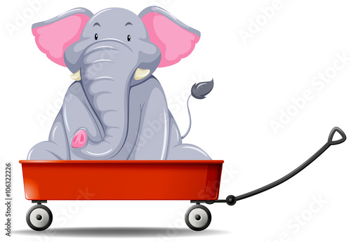Elephant in the red wagon