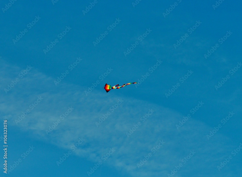 Fototapeta premium Drachen am Himmel