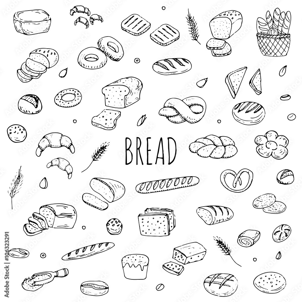 Hand drawn doodle set of cartoon food: rye bread, ciabatta, whole grain bread, bagel, sliced bread, french baguette, croissant Bread set Vector illustration Sketchy bread elements collection