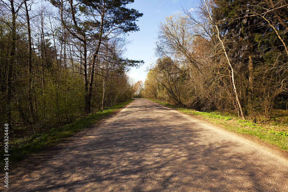 Spring road, countryside  