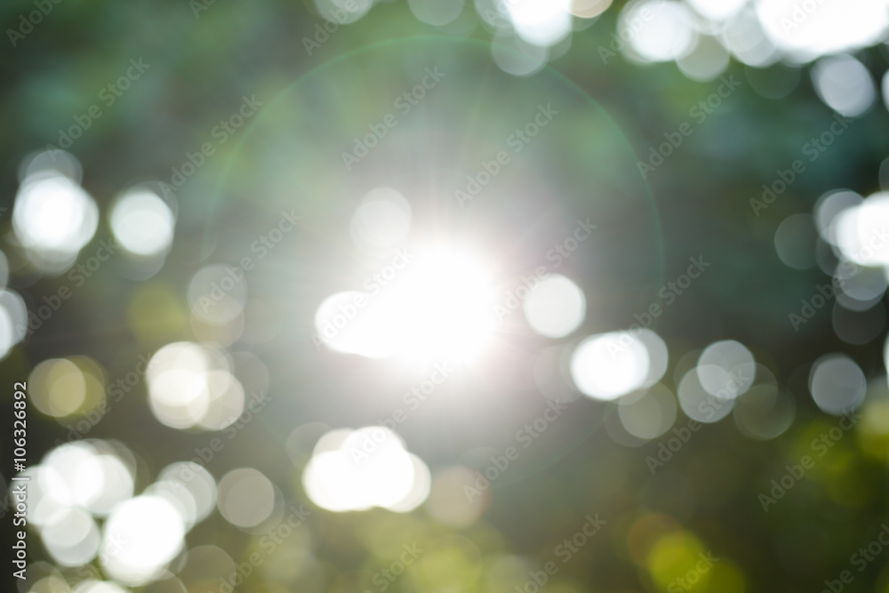 Obraz premium sunlight through leaves on tree, image blur bokeh background