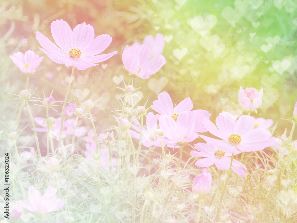 Flower background 32