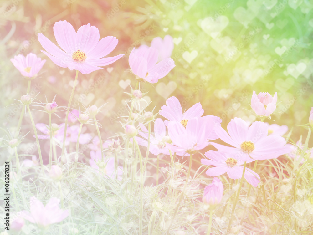 Fototapeta premium Flower background 32