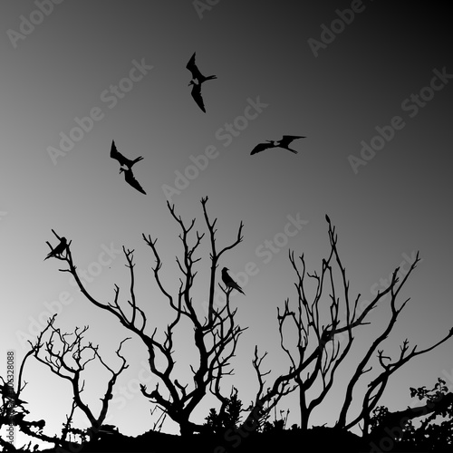 deathtree silhouette with birds flying