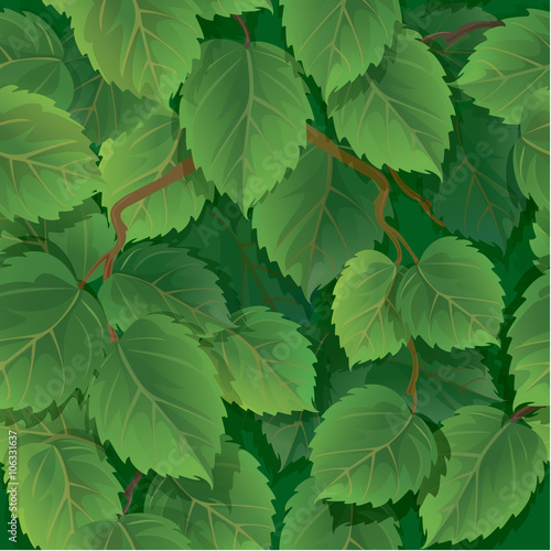 Seamless pattern with green spring leaves of birch. Ready to use