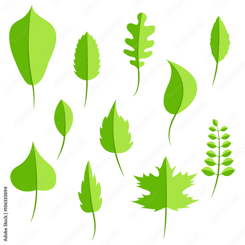 Spring green leaves in flat style vector set. Oak leaf, chestnut leaf, maple, birch and acacia leaves. Spring green leaves in flat style vector set. Oak leaf, chestnut leaf, maple, birch and acacia leaves.