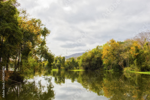 Colorful autumn scene