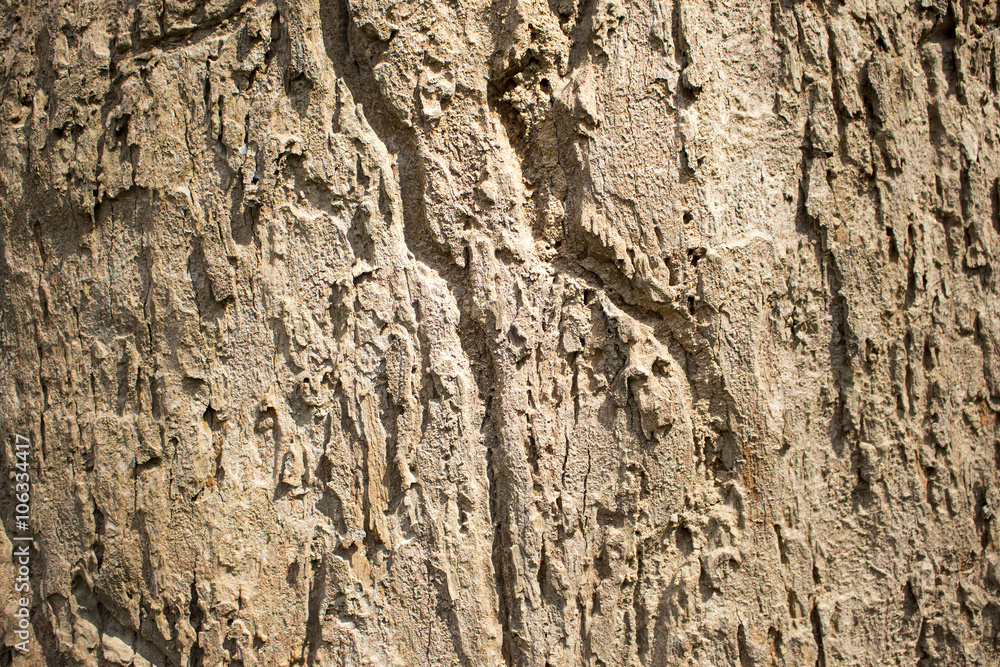 brown texture of tree bark