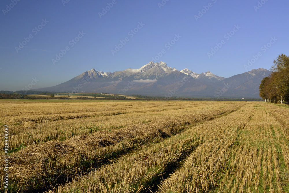 Obraz premium Spojrzenie na Tatry