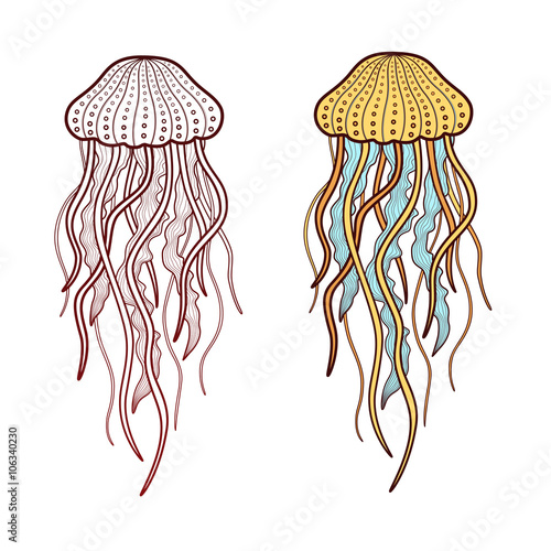 Jellyfish