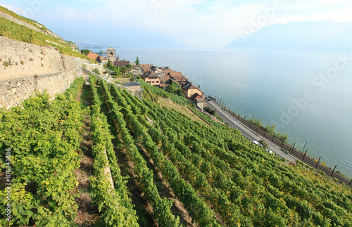 Quadro su tela Lavaux vineyards, unesco world heritage, Switzerland