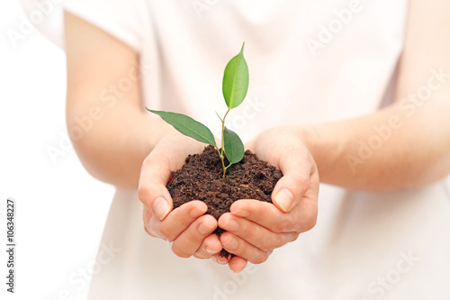 Female hands holding soil and plant, closeup