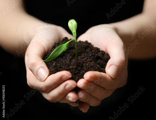 Female hands holding soil and plant on black background