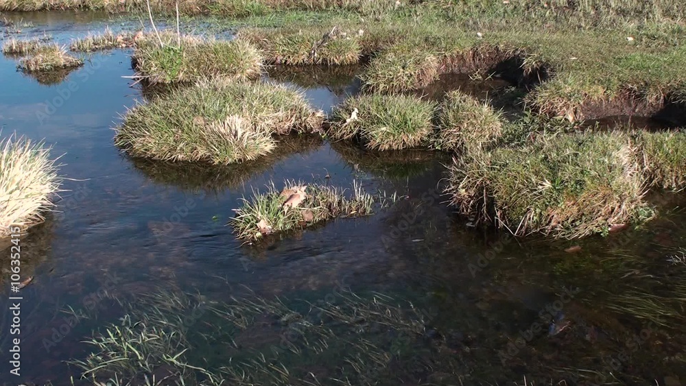 Vallefiorita parco nazionale AbruzzoLazio Molise Vallefiorita parco nazionale AbruzzoLazio Molise
