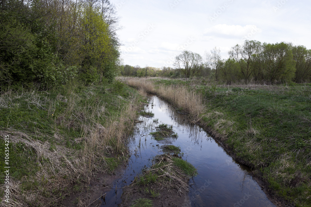 small swamp, lake  