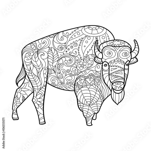 Bison animal coloring book for adults vector