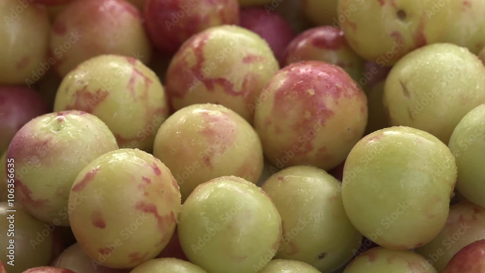 Colorful cherry plums with waterdrops rotation Colorful cherry plums with waterdrops rotation