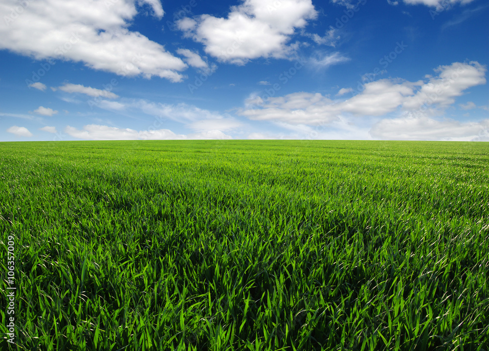  field and sky