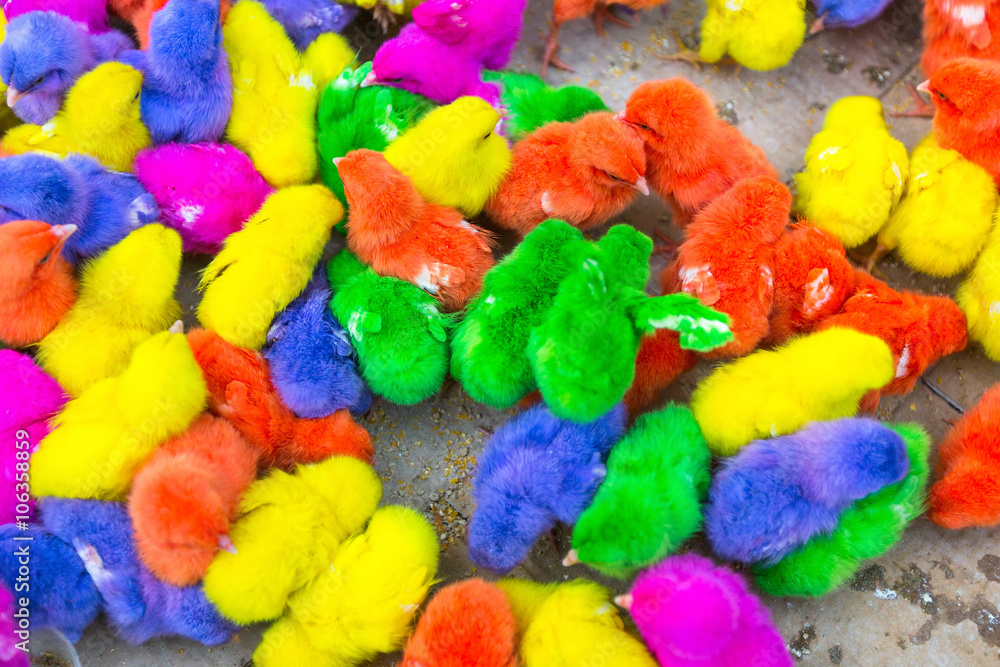 Colorful chickens in a box at the Asian market. Colorful chickens in a box at the Asian market.