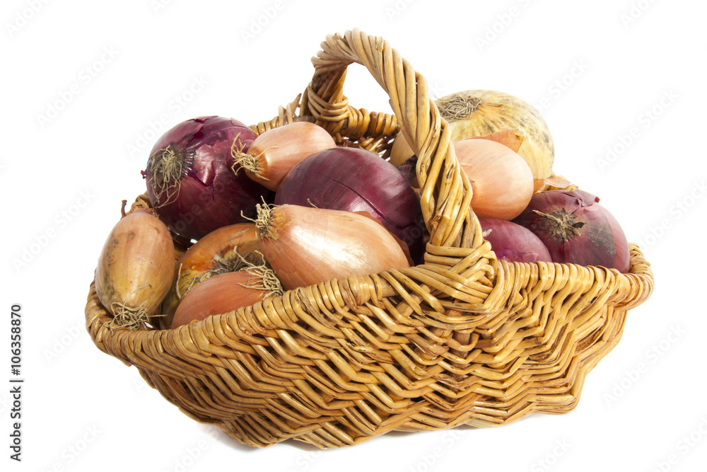 Different kin of onion Different kin of onion