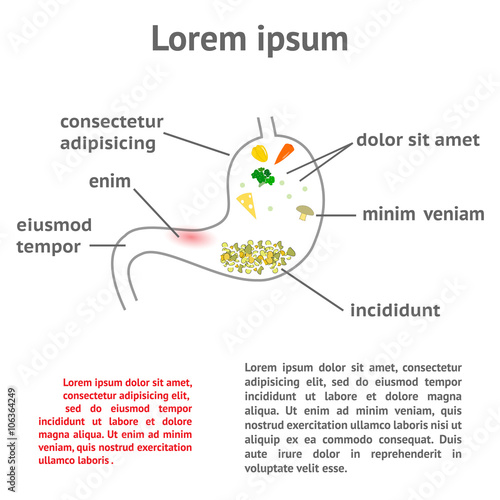 pathology of the stomach and digestive photo