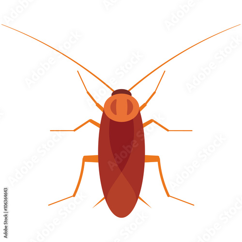 Cockroach vector illustration. Cockroach bug on white background. Cockroach vector. Cockroach illustration. Cockroach beetle isolated vector