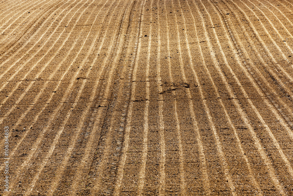 Fototapeta premium plowed agricultural land 