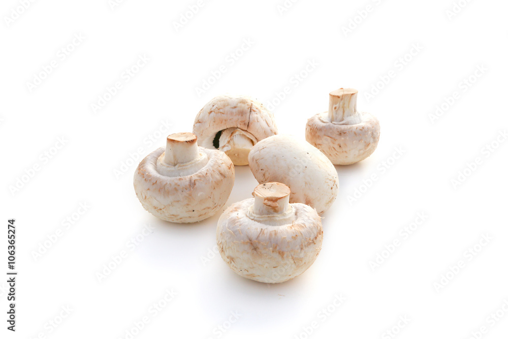 Fototapeta premium Champignons