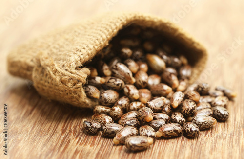 Castor beans in jute sack photo