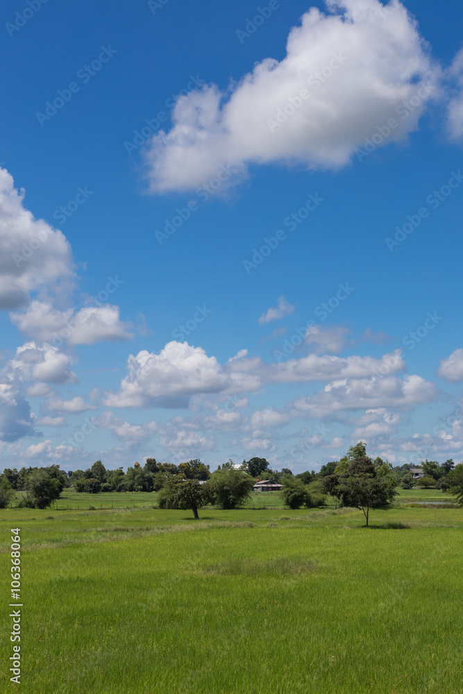 bright blue sky