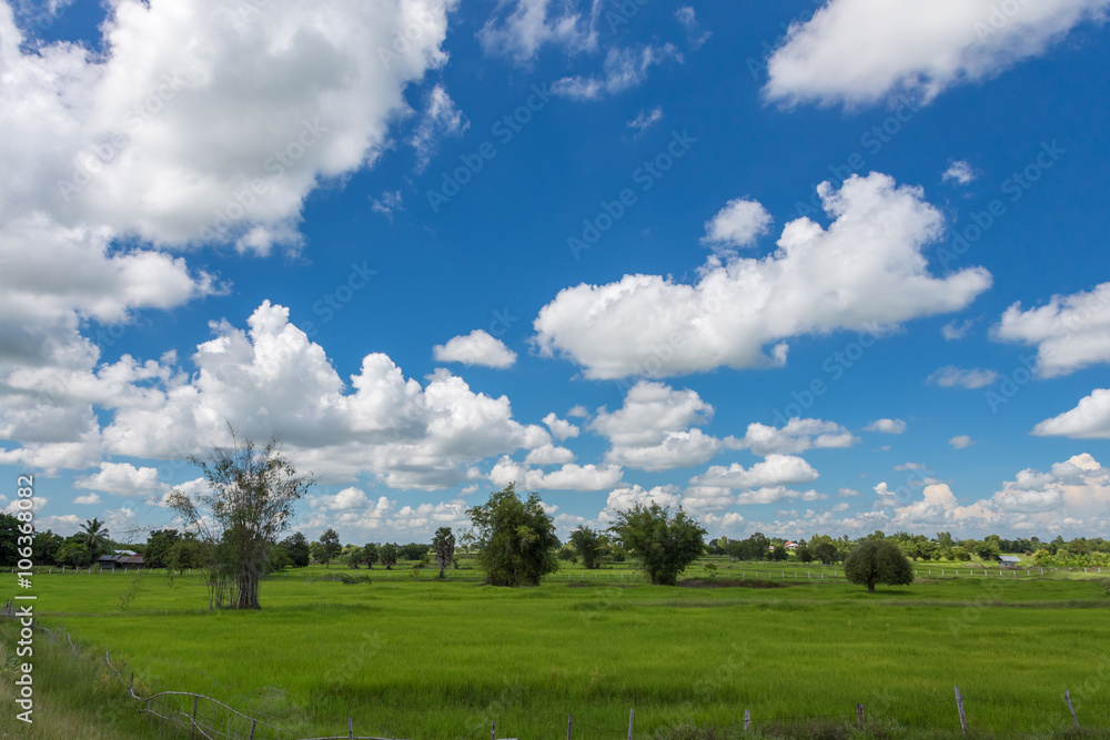 bright blue sky