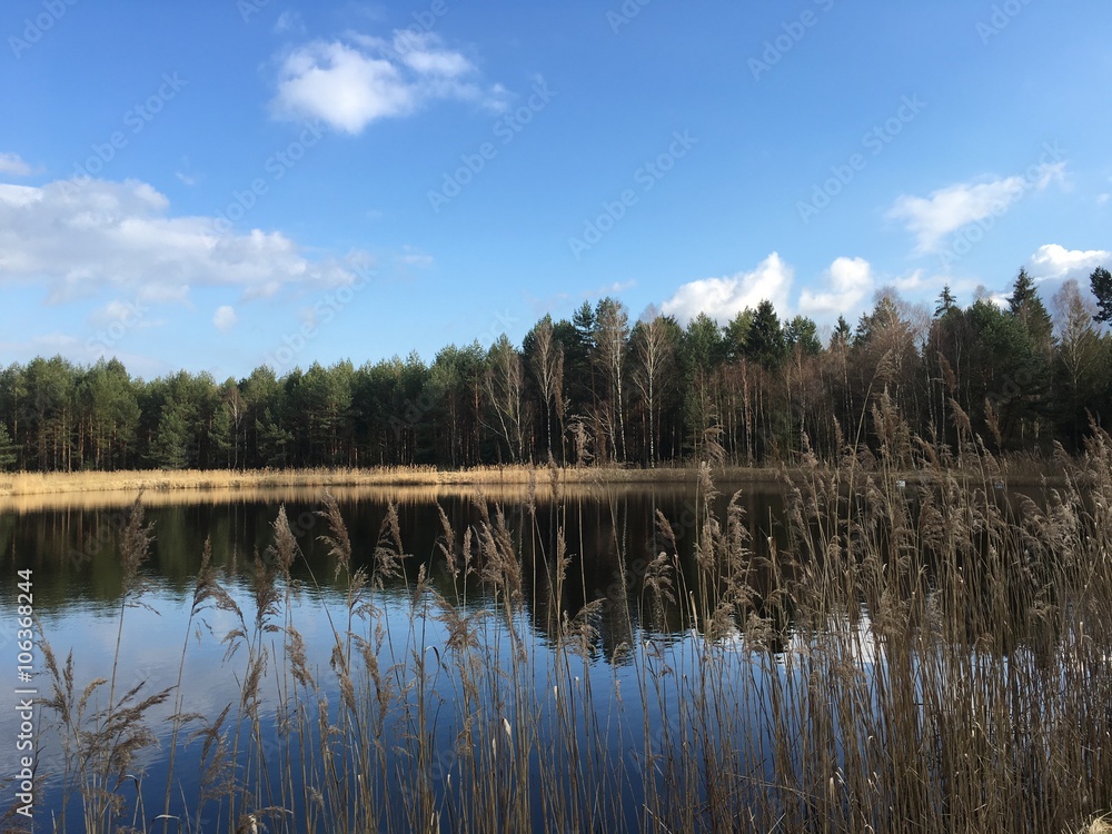 Fototapeta premium krajobraz