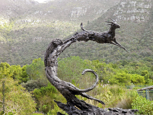 Kirstenbosch National Botanical Gardens  Sculpture