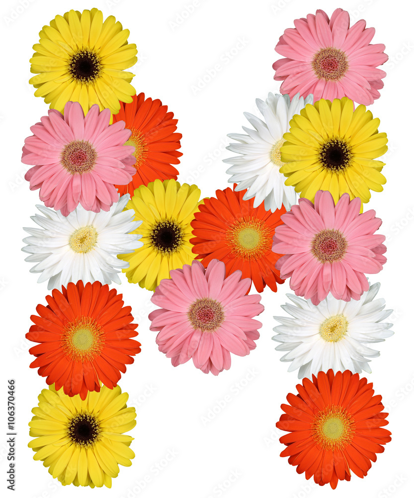 Buchstabe M Alphabet aus Blumen Freisteller auf weiss Buchstabe M Alphabet aus Blumen Freisteller auf weiss