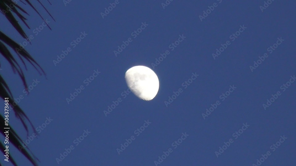 Moon over dream beach in Islamorada Moon over dream beach in Islamorada