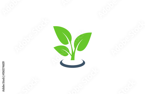green leaf eco plant vector logo icon