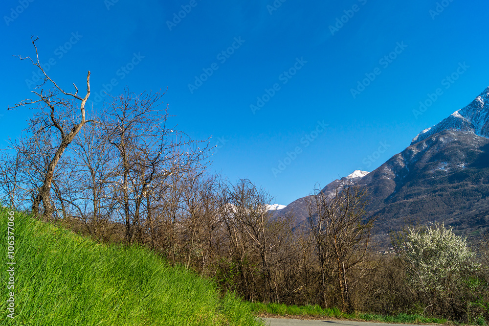 Paesaggio montano, panorama di montagna, primavera, cielo blu e prato