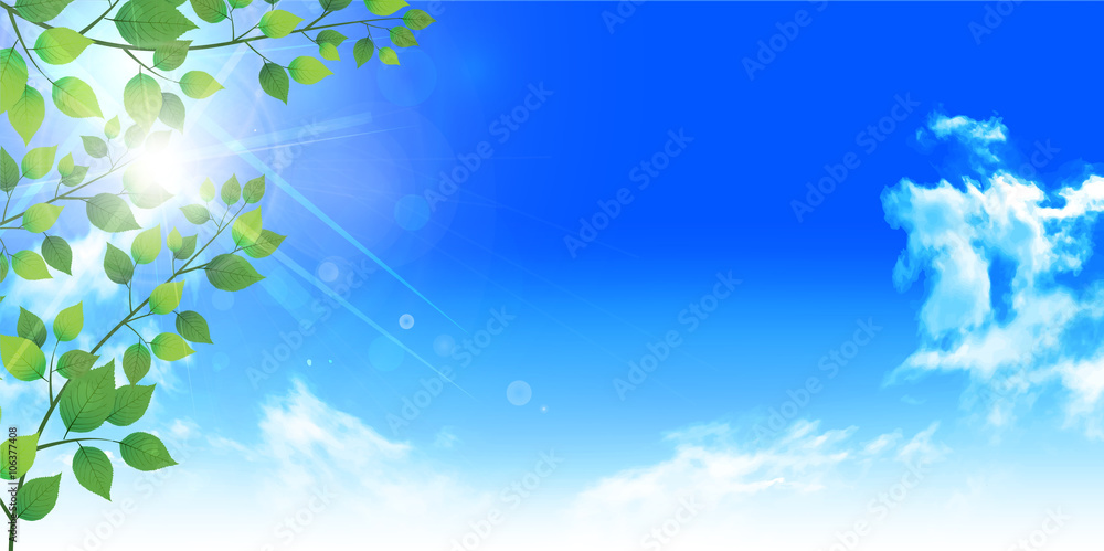葉 新緑 木 背景 葉 新緑 木 背景
