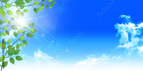 葉　新緑　木　背景