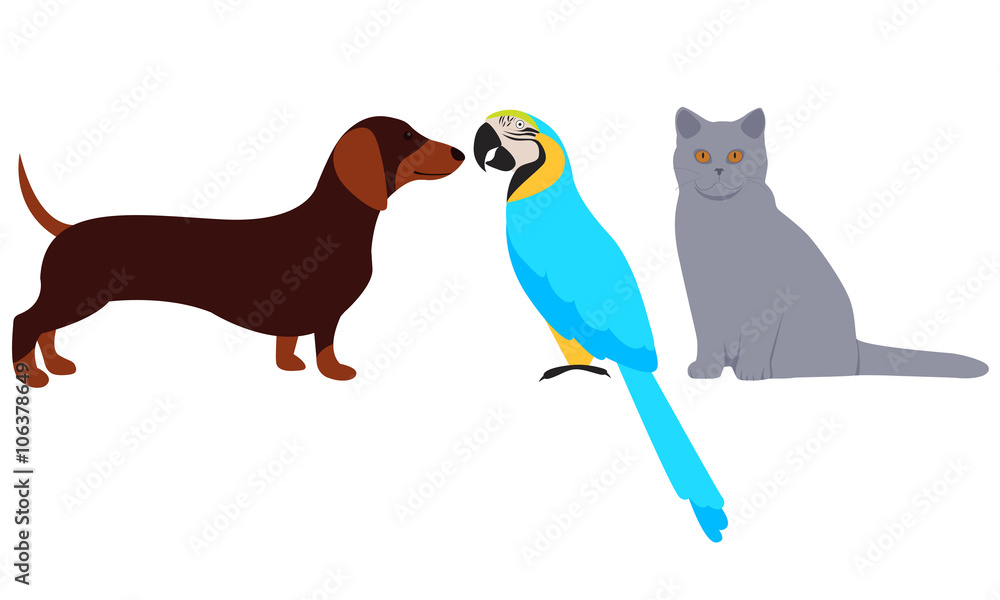 Set Pets. Cat, dog and parrot. Vector illustration Set Pets. Cat, dog and parrot. Vector illustration