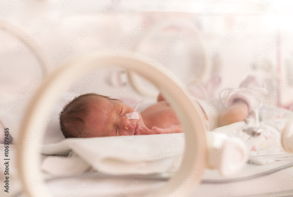 Premature newborn  baby girl - obrazy, fototapety, plakaty 