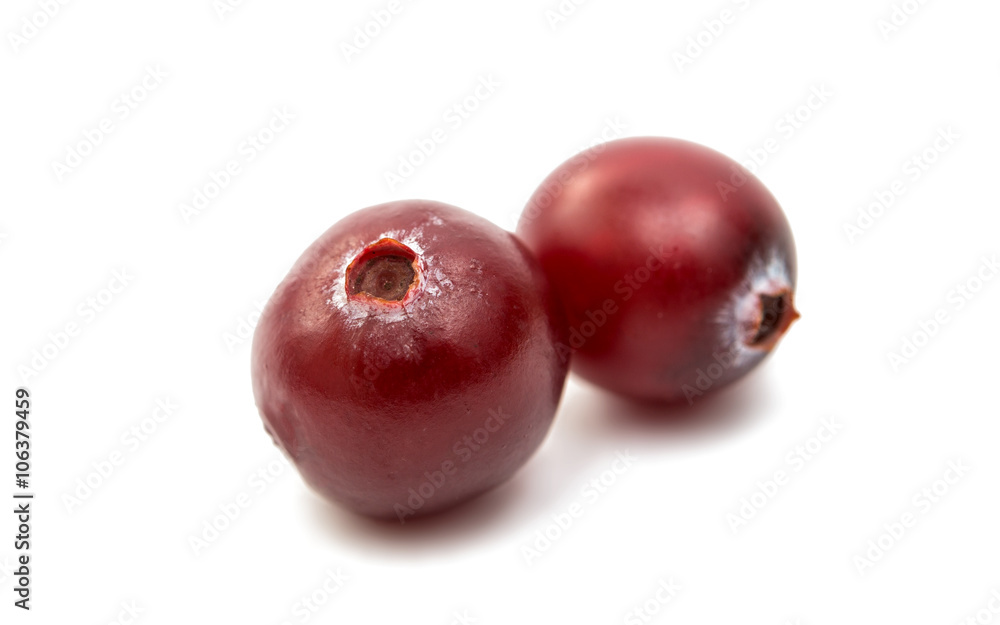 cranberries isolated