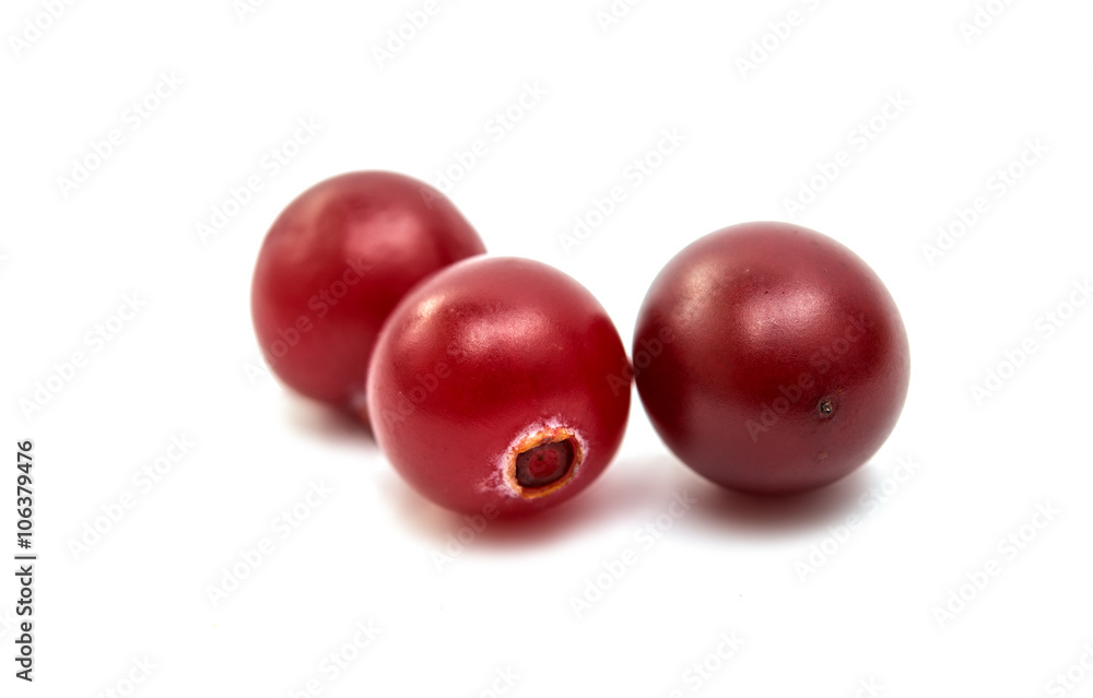 cranberries isolated cranberries isolated