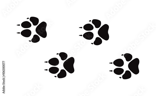 Animal foot prints and tracks isolated steps traces on white for wildlife concept design vector. 