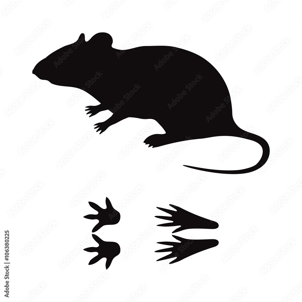 Naklejka premium Black silhouette rat mouse wild animal zoo vector. 