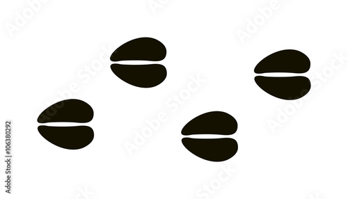 Animal foot prints and tracks isolated steps traces on white for wildlife concept design vector. 