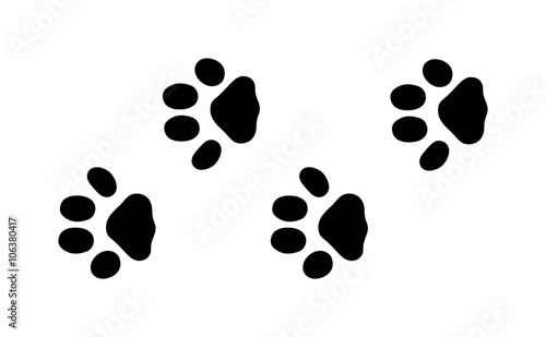 Animal foot prints and tracks isolated steps traces on white for wildlife concept design vector. 