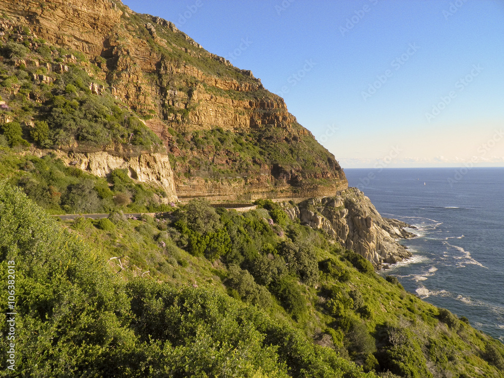 Wild South African coast line full of wild flowers and vegetatio